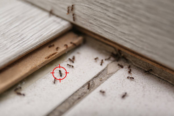 Best Commercial Pest Control Services  in Summer Set, MO