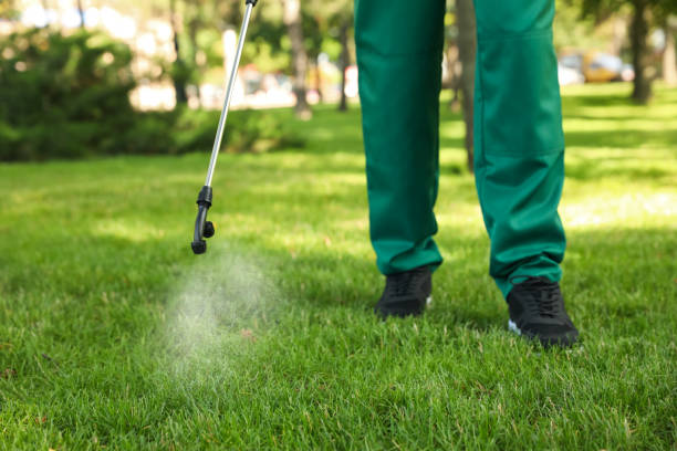 Best Affordable Pest Control Services  in Summer Set, MO
