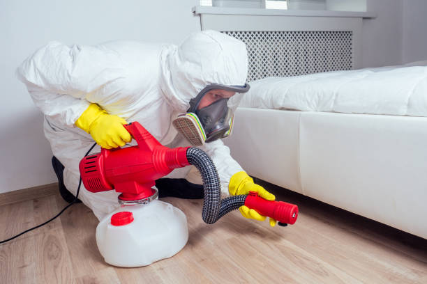 Best Flea Control Services  in Summer Set, MO
