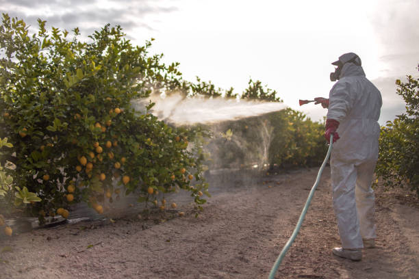 Best Pest Prevention Services  in Summer Set, MO