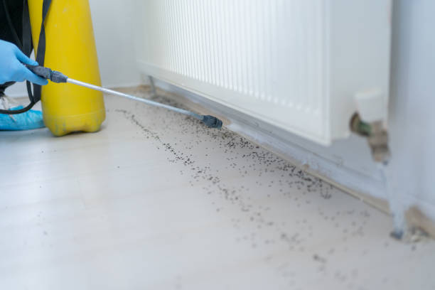 Best Exterminator Services  in Summer Set, MO