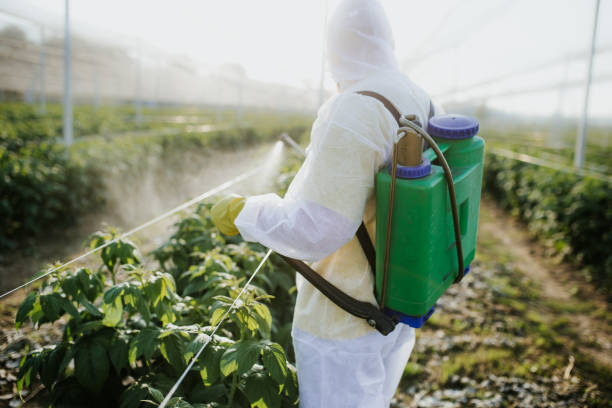 Best Affordable Pest Control Services  in Summer Set, MO